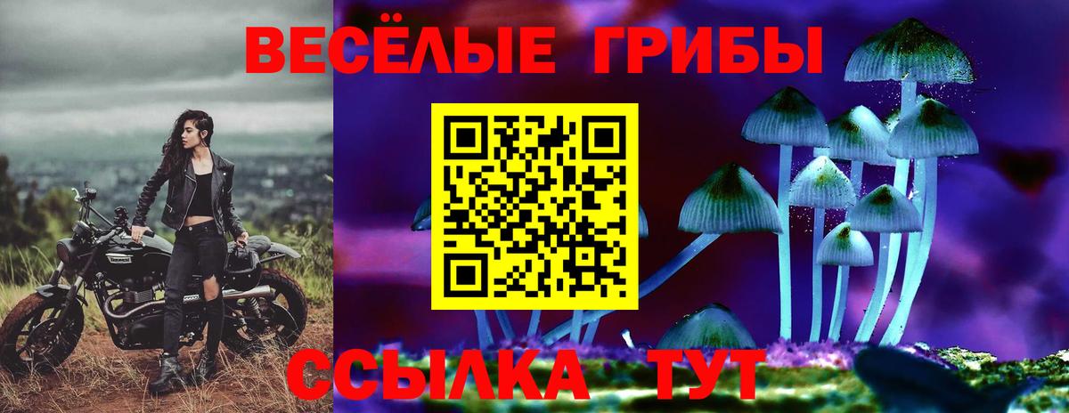 Галлюциногенные грибы Psilocybine cubensis  Галлюциногенные грибы мухоморы  купить  цена  Вход с VPN  Лобня 