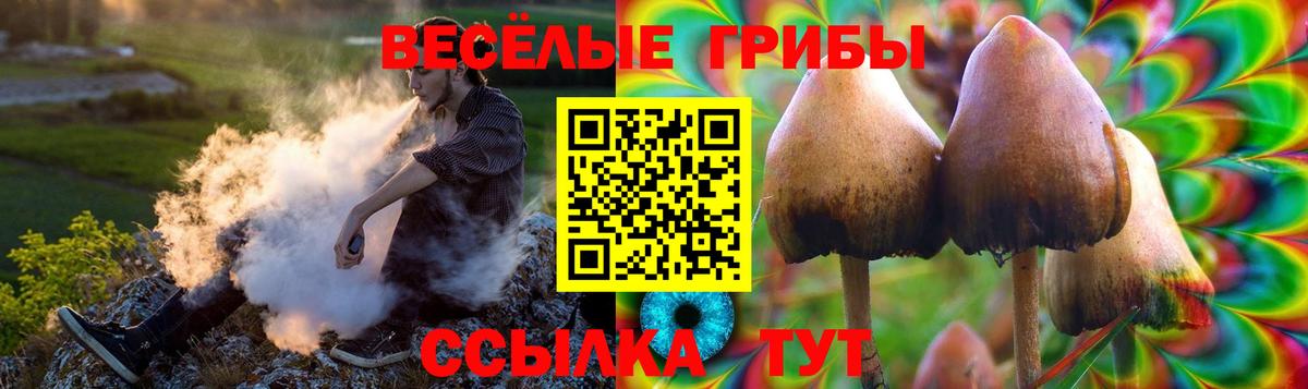 Псилоцибиновые грибы Magic Shrooms Лобня